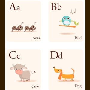 flashcards2