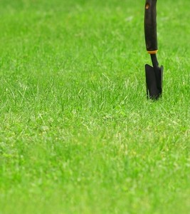 backyard shovel