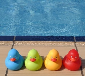 ducksinrow